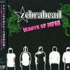 Zebrahead「Waste Of Mino」