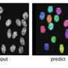 Mask-RCNNで細胞画像のインスタンスセグメンテーション