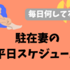 何してる？暇すぎない？駐在妻の平日スケジュール【南アフリカ・ヨハネスブルグ】