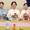 【居場所なんてどこにも無かった】札幌放浪記 ---'25年春最終話---