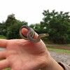 ヘビチとのおもひで🐍