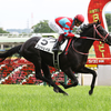 競馬初心者必見☆馬券予想🔥〜日本ダービー〜最年少ダービージョッキー誕生か、ウオッカ以来の牝馬優勝か〜