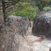 明神山のハイク（その３）Aコースで下山