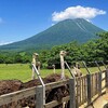 ニセコでダチョウに会える!? 羊蹄山を望む牧場と卵スイーツの旅