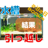 【水槽の引っ越し】60cm水槽を自分で引っ越しした結果【2泊3日】