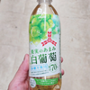 「三ツ矢果実のあまみ白葡萄」は美味しい？果汁70％の贅沢炭酸が期間限定で登場！