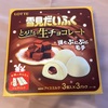 【今日の購入品】アイスを買ってきた☆雪見だいふく