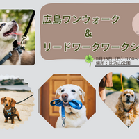 広島ワンウォーク＆リードワークワークショップ　11/23