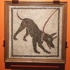 特別展「ポンペイ」