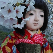 市松人形 カテゴリーの記事一覧 硝子の瞳と猫と