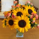 hidemarupapaの中学受験日記