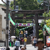 白山神社のカラフルなあじさい