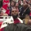 LeBron argumentiert mit Bulls Fan von Bench
