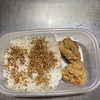 塩唐揚げ弁当