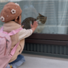 娘と仲良くなりたいあんころもちきなこもち特集10