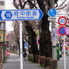  府中街道まっしぐら Lauf in der Fuchu-Strasse