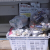 〈ききょうの家〉リサイクル活動風景