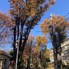 秋の空を見て一首