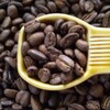 コーヒーをたくさん焙煎しました❗️