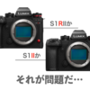 LUMIX S1RIIにするかS1IIにするかそれが問題だ