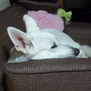 つまらないよ〜