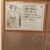 保護犬カフェ堺店　2022.1.21