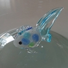 過去の記録 初めての丸物 青文魚