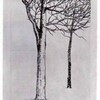 駒井哲郎の樹々の絵の秘密