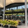 the banana leaf apolo