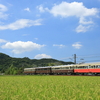 ことでんレトロ4重連列車を撮る その1　2020年 夏の四国遠征⑯