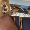 結果を受けてどうするのかが大切