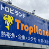東京近郊で最大級の熱帯魚ショップに潜入🐟心に残る不思議な体験とは？