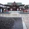 雨に打たれる岸和田天神宮と梅