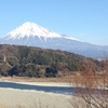 新年明けましておめでとうございます。