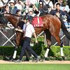 帰厩してまもないＧ１出走も、栗東へ連れていったのは正解ですし、仕上げに関しては抜かりなし。あとはＧ１の雰囲気に飲まれず、自分を見失わずにレースへ臨めるかどうか。良い方へ噛み合えば１発あっても不思議なし。☆ミアネーロ