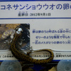 ハコネサンショウウオ Onychodactylus japonicus