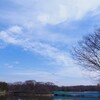 初春の長居公園