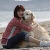 映画感想「犬と私の１０の約束」