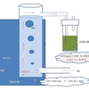 水草とCO2のご関係　を考える　-(6)