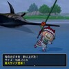 DQX、やっぱりサブキャラが強運です