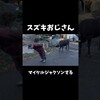 マイケルジャクソンするスズキおじさん#animals#cow #michaeljackson #dance #畜産 #農業