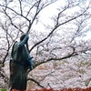 吉四六ランドの桜🌸