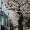 春到来 FISポイント更新