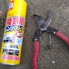 R6.5.23  まとめってほどでもない1枚