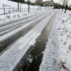 この寒いのに雪の中を散歩とは