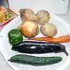 自家製野菜の天ぷらと、かき揚げ丼