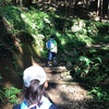家族ハイキング 大倉尾根で花立山荘まで