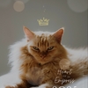 【12/22まで】女王のための鑑定書 - The Heart of an Empress 2025 ✶