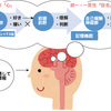  「苦手」をつくってしまうのはなぜ ?