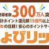 【ちょびリッチのサービスと個人評価10の基準】～脱！ボンビーパパ～